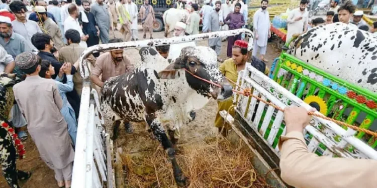 Government Announces Three-Day Eidul Azha Holidays Across Pakistan