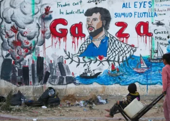 Pakistan Condemns Israel’s Interception of Gaza Aid Flotilla