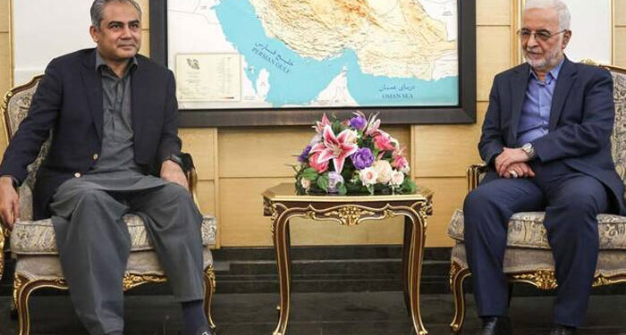 Pakistan, Iran Hold High-Level Talks on Regional Peace as Interior Minister Mohsin Naqvi Visits Tehran