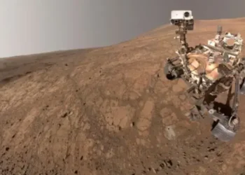 SpaceX IPO Filing Links Elon Musk Bonus to 1 Million People Living on Mars
