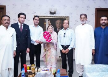 Faryal Talpur Holds Meeting with Political Leaders at Zardari House Karachi