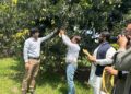 PHDEC Launches Mango Bagging Pilot Project to Boost Export Quality