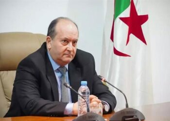 Algeria Unveils Major Investment Reforms to Speed Up Business Approvals