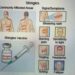 Pakistan Urges Citizens Aged 50+ to Get Shingles Vaccine as Experts Warn of Rising Risk and Complications