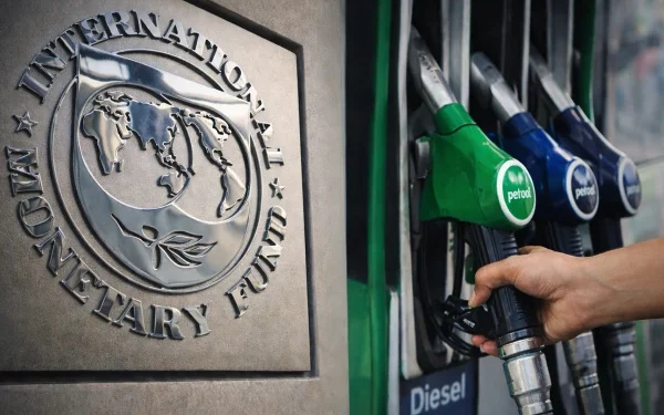Pakistan Begins Virtual Budget Talks with IMF, Focus on Energy Pricing and Tax Reforms