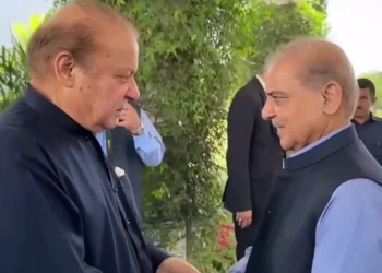 PM Shehbaz Briefs Nawaz Sharif on Middle East Situation, Pakistan’s Peace Efforts