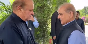 PM Shehbaz Briefs Nawaz Sharif on Middle East Situation, Pakistan’s Peace Efforts