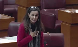 Discussion underway on the Pakistan Telecommunication Amendment Bill and Senate review process