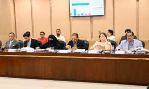 National Assembly finance committee meeting discussing taxation and economic proposals