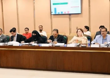 National Assembly finance committee meeting discussing taxation and economic proposals