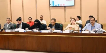 National Assembly finance committee meeting discussing taxation and economic proposals