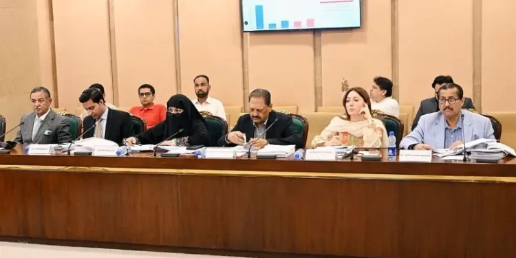 National Assembly finance committee meeting discussing taxation and economic proposals