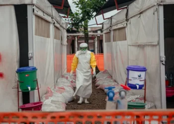 WHO and CDC Warn Ebola outbreak Could Expand Without Action