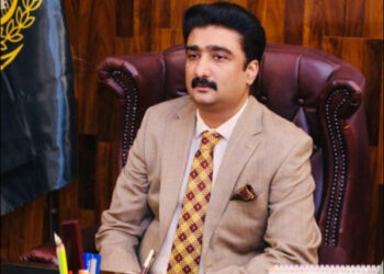 Sindh minister Syed Zulfiqar Ali Shah speaking about Karachi politics and rejecting Jamaat-e-Islami claims during press remarks.