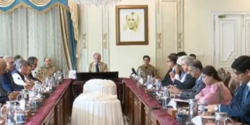 Shehbaz Sharif Approves Federal Funding for Gilgit Baltistan Solar Project