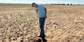 Asia Drought Threatens Crops as El Niño Risks Rise
