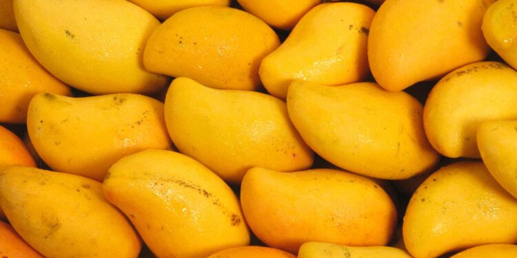 TDAP Facilitates Registration of Three Additional Mango Export Facilities with APQA-South Korea