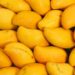 TDAP Facilitates Registration of Three Additional Mango Export Facilities with APQA-South Korea