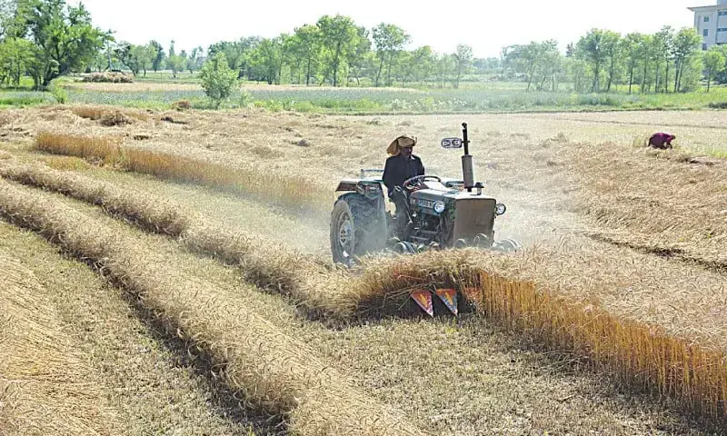 Pakistani farmers working in agricultural fields as provincial governments announce higher agriculture spending for FY2026-27.