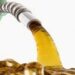 Pakistan Petroleum Levy Changes Petrol and Diesel Rates Revised
