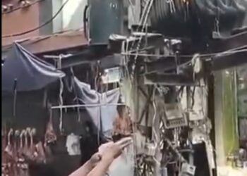 Health Experts Warn Against Unsafe Transformer Oil Pain Claims