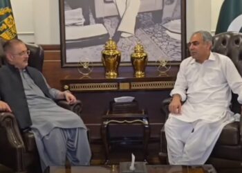 Sharjeel Memon Mohsin Naqvi Discuss Law & Order Cooperation
