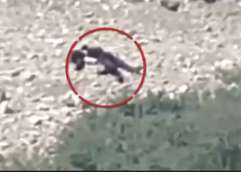 Pakistan Security Forces Eliminate 27 Khwarij in North Waziristan