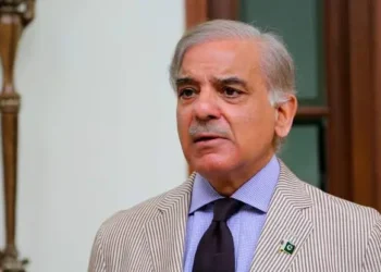 Pakistani Prime Minister Shehbaz Sharif speaking with Iranian President Masoud Pezeshkian during Islamabad MoU diplomatic talks