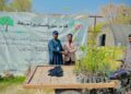 GO Distributes 600,000 Saplings Under Sarsabz Pakistan Project to Boost Green Cover Nationwide