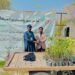 GO Distributes 600,000 Saplings Under Sarsabz Pakistan Project to Boost Green Cover Nationwide