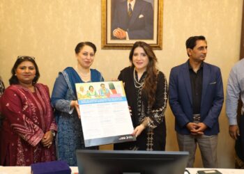 UN Women, PSPA Discuss Gender-Responsive Social Protection