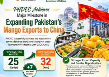 Pakistan gains seven new China-approved mango export facilities