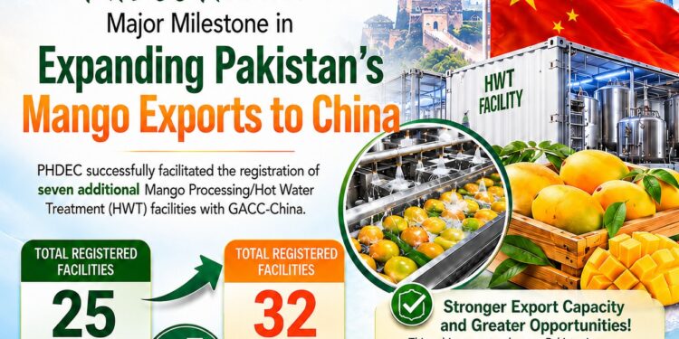 Pakistan gains seven new China-approved mango export facilities