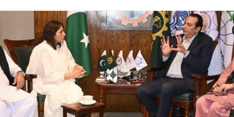 FPCCI Hosts Asia Web3 Alliance to Boost Tech Collaboration