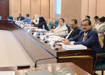 Finance and Revenue Standing Committee meeting in Pakistan National Assembly with lawmakers and finance officials