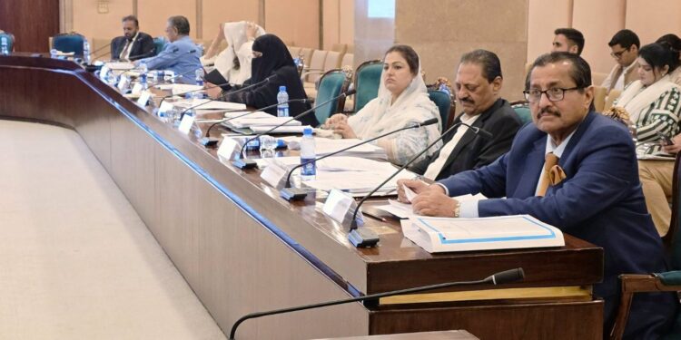Finance and Revenue Standing Committee meeting in Pakistan National Assembly with lawmakers and finance officials