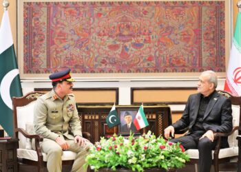 Field Marshal Syed Asim Munir during meeting with Iranian President Masoud Pezeshkian discussing regional peace and bilateral cooperation.