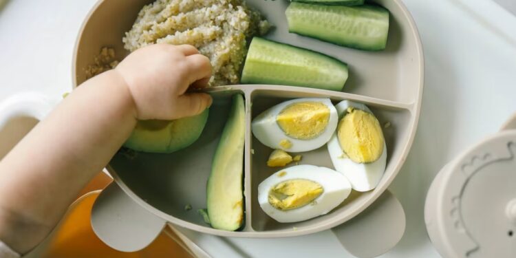 JAMA Pediatrics Reports Egg Allergy Drop After Early Infant Introduction Study Findings