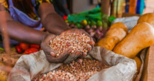 Agricultural machinery and irrigation systems supported under AFC financing programme in Togo.