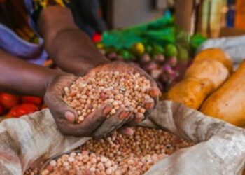 Agricultural machinery and irrigation systems supported under AFC financing programme in Togo.