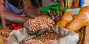 Agricultural machinery and irrigation systems supported under AFC financing programme in Togo.