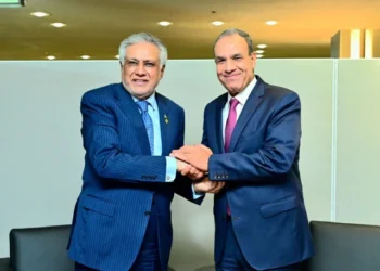 Ishaq Dar Holds Regional Talks With Egypt’s Foreign Minister on Stability