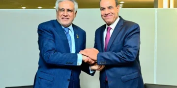 Ishaq Dar Holds Regional Talks With Egypt’s Foreign Minister on Stability