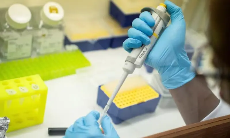 Shanghai Jiao Tong University examines allegations surrounding an experimental gene-editing trial involving a young patient.