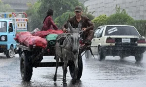 Rescue teams assess damage after heavy monsoon rain and landslides in South Waziristan, Khyber Pakhtunkhwa.