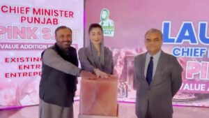 Punjab Chief Minister Maryam Nawaz Sharif launches the Pink Salt Value Addition Financing Scheme and announces a 110-acre mineral processing zone.