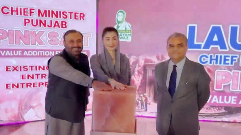 Punjab Chief Minister Maryam Nawaz Sharif launches the Pink Salt Value Addition Financing Scheme and announces a 110-acre mineral processing zone.