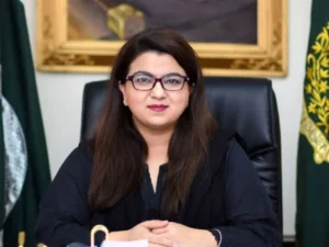 Shaza Fatima Khawaja and Azam Nazeer Tarar explain the Telecom Bill during a press conference.