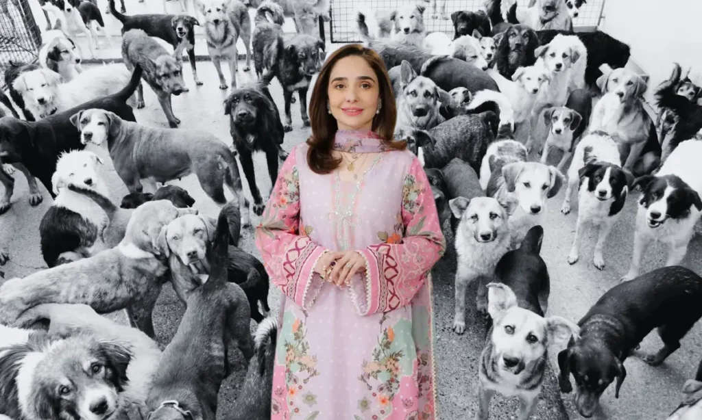 Juggun Kazim appeals for animal welfare by encouraging care for pets and stray animals during extreme heat in Pakistan.