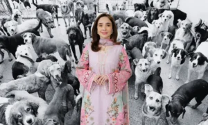 Juggun Kazim appeals for animal welfare by encouraging care for pets and stray animals during extreme heat in Pakistan.